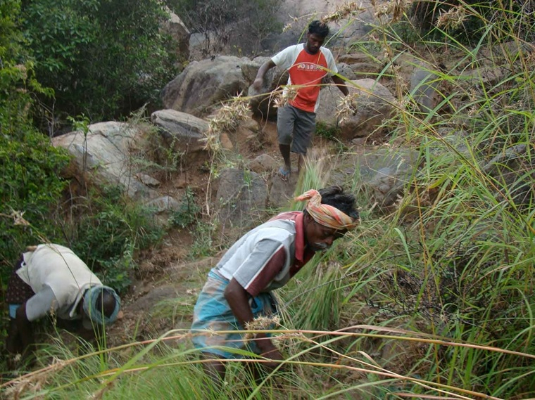 Field Task 3